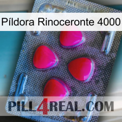 Píldora Rinoceronte 4000 13